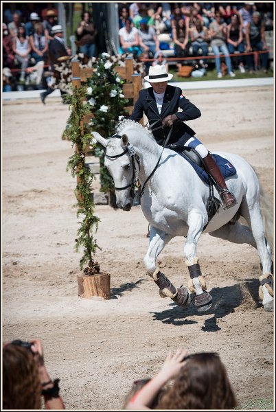 Pferd International 174